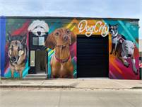Dogcity West Seattle Jose  Rodriguez